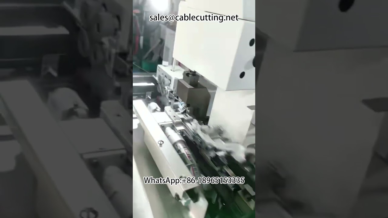 Автоматическая двухголовочная машина для обжима трубчатых клемм насыпных зерен