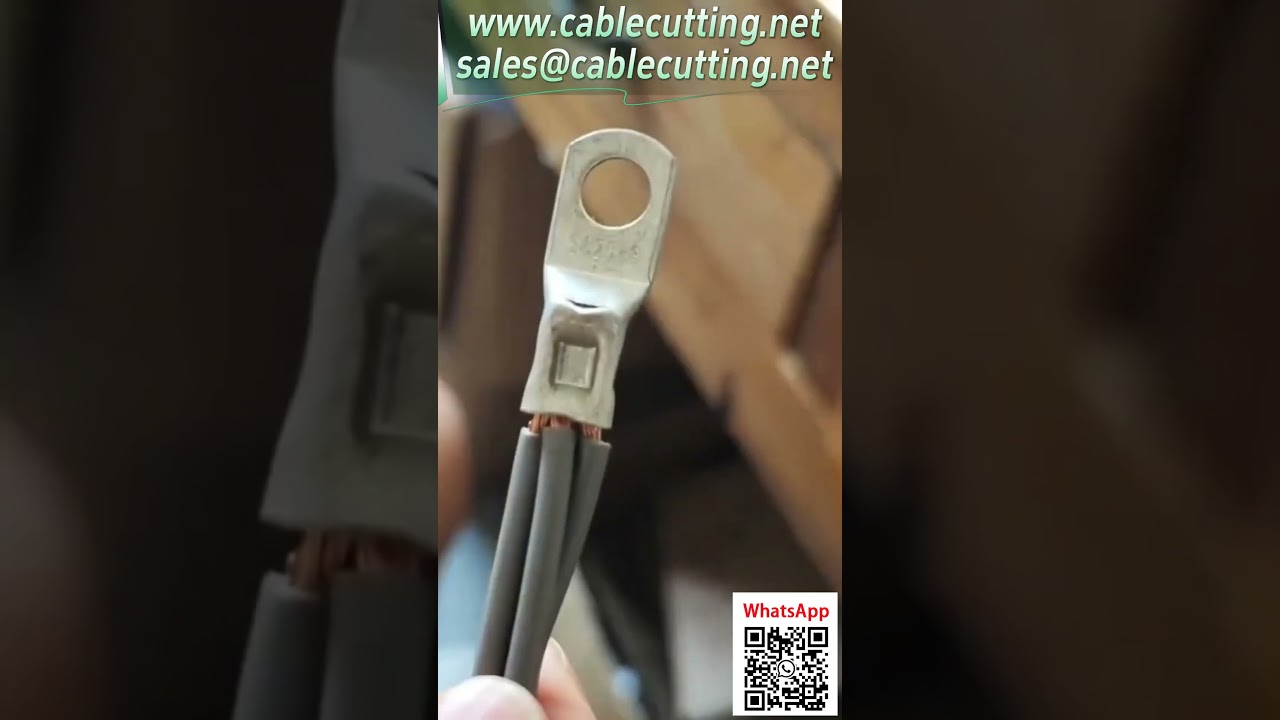 Fully Automatic Terminal Crimping Machine 0.25-25 sq mm Wire Processing Demo